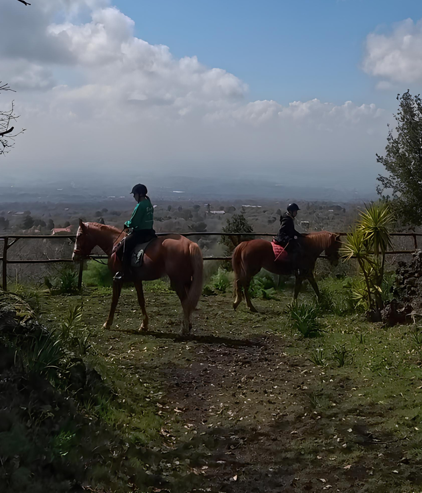 Horse riding excursions Horse riding excursions